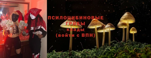 дживик Арсеньев