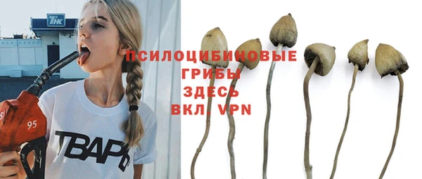 ешки Армянск