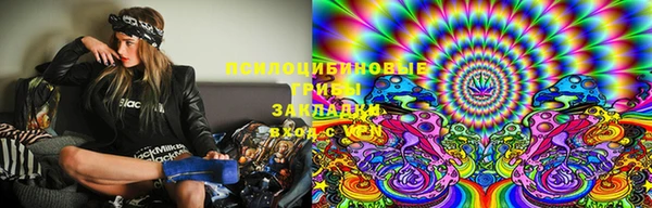 дживик Арсеньев
