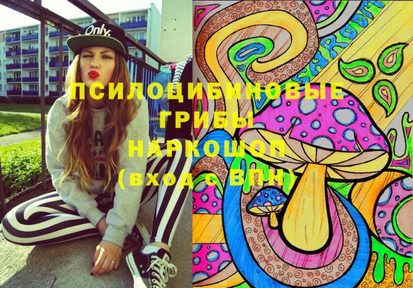 СК Вуктыл