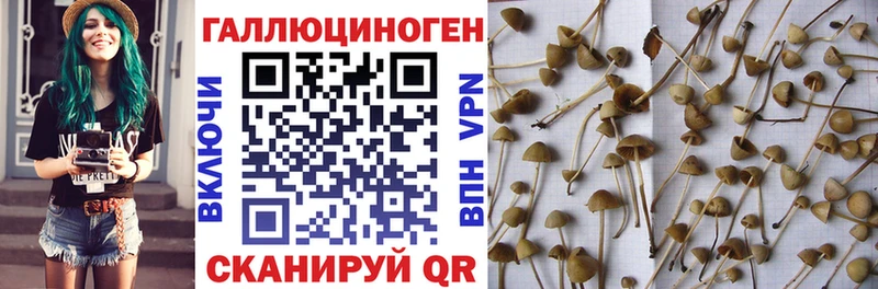 Галлюциногенные грибы мухоморы  где продают наркотики  Белово 