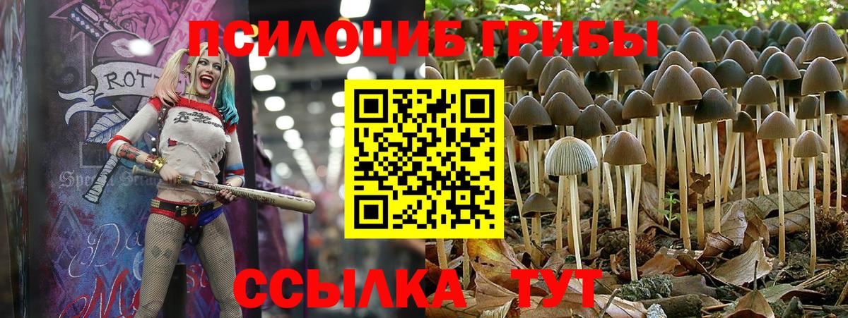 Псилоцибиновые грибы Psilocybine cubensis  Псилоцибиновые грибы Psilocybe  Белово  Вход с VPN 