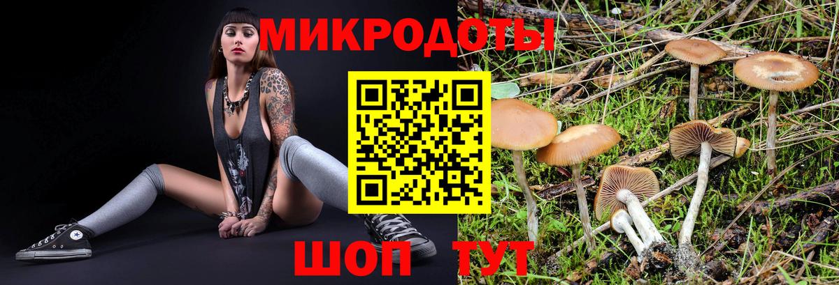 LSD-25 Белово